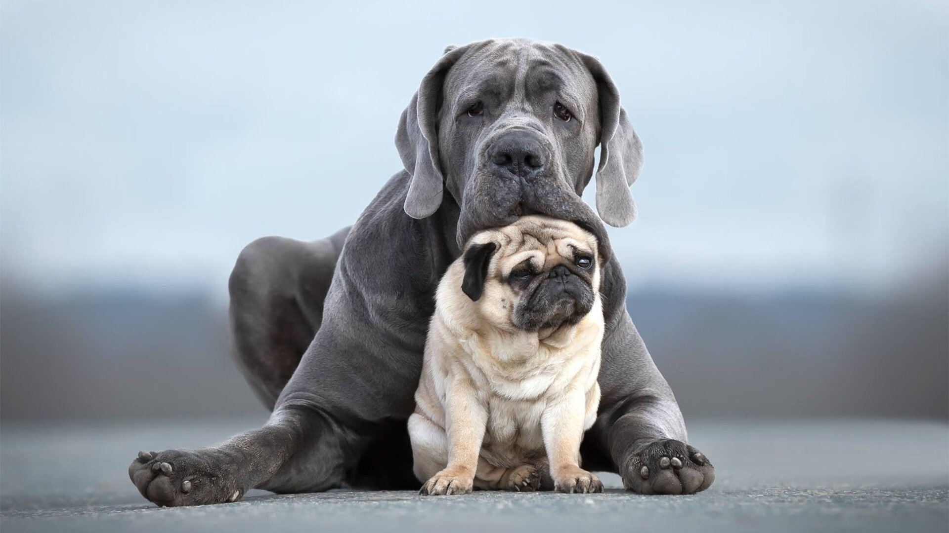 燃烧的逆境,拉梅洛如何在纽约的炼狱中锻造传奇