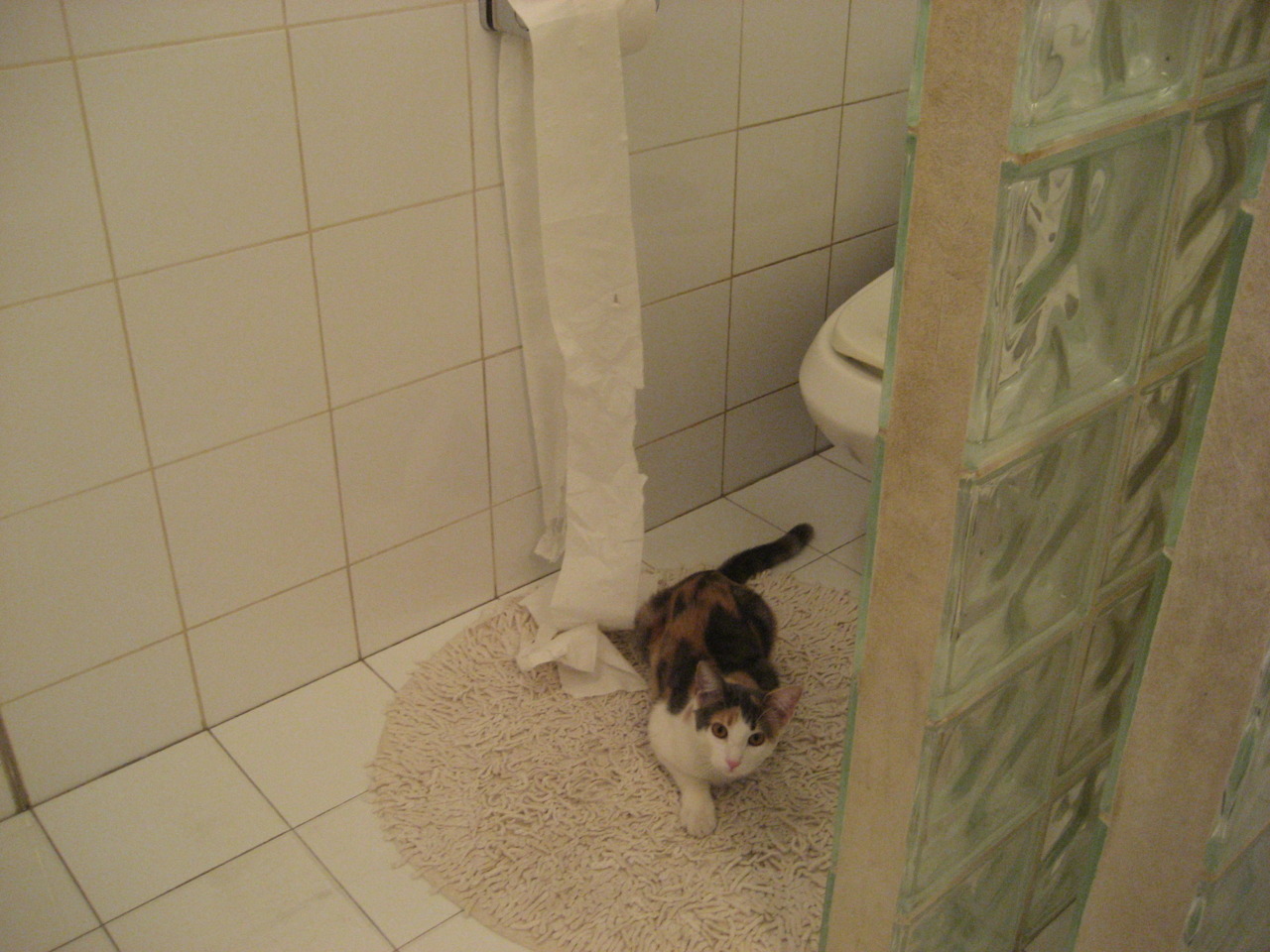 开云体育入口-兄弟对决与篮球朝圣，当米切尔在山西队面前诠释唯一性