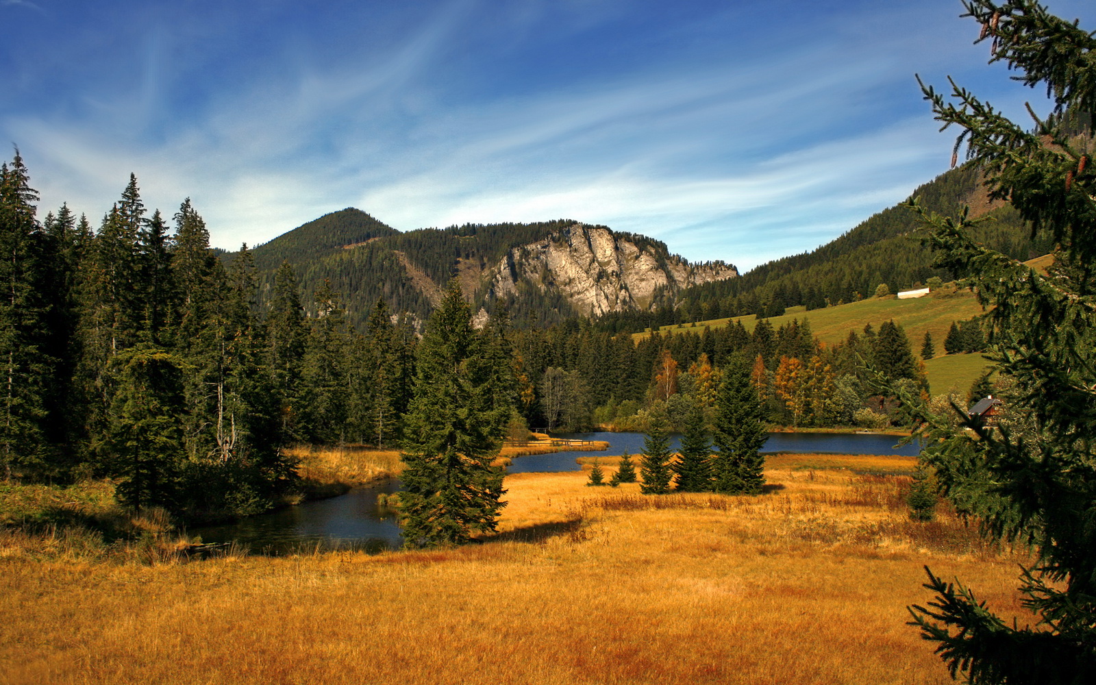开云体育在线-绝杀！法兰西心跳骤停的90分钟，救世主恩佐与23号传奇的世纪裂痕