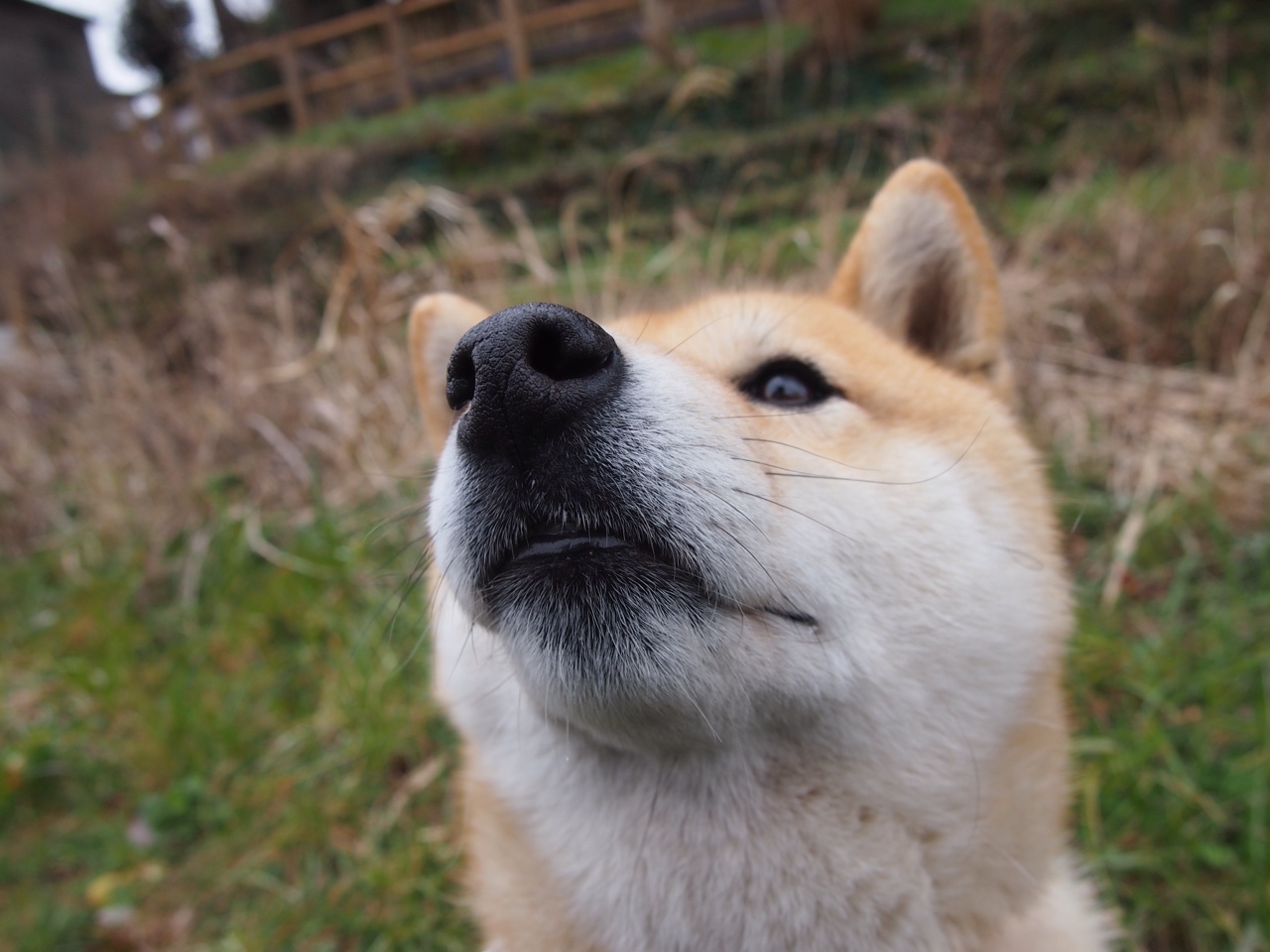 烈焰照孤星,洪流卷北境,当两种暴力美学在同一夜绽放