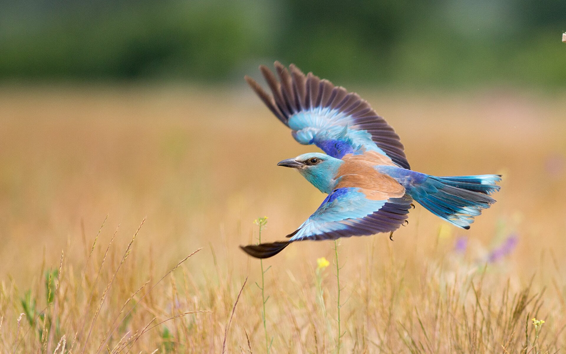 开云体育平台APP-节奏之战，美国如何掌控西班牙，迪亚斯的关键先生之路