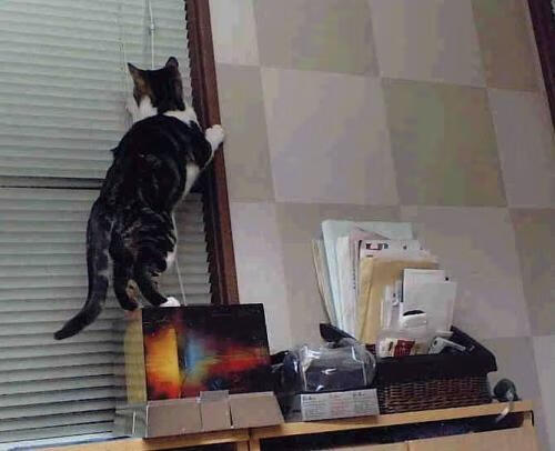 开云体育入口-克瓦拉茨赫利亚上演教科书式破局，格鲁吉亚终场绝杀冰岛，多特蒙德式奇迹再现？