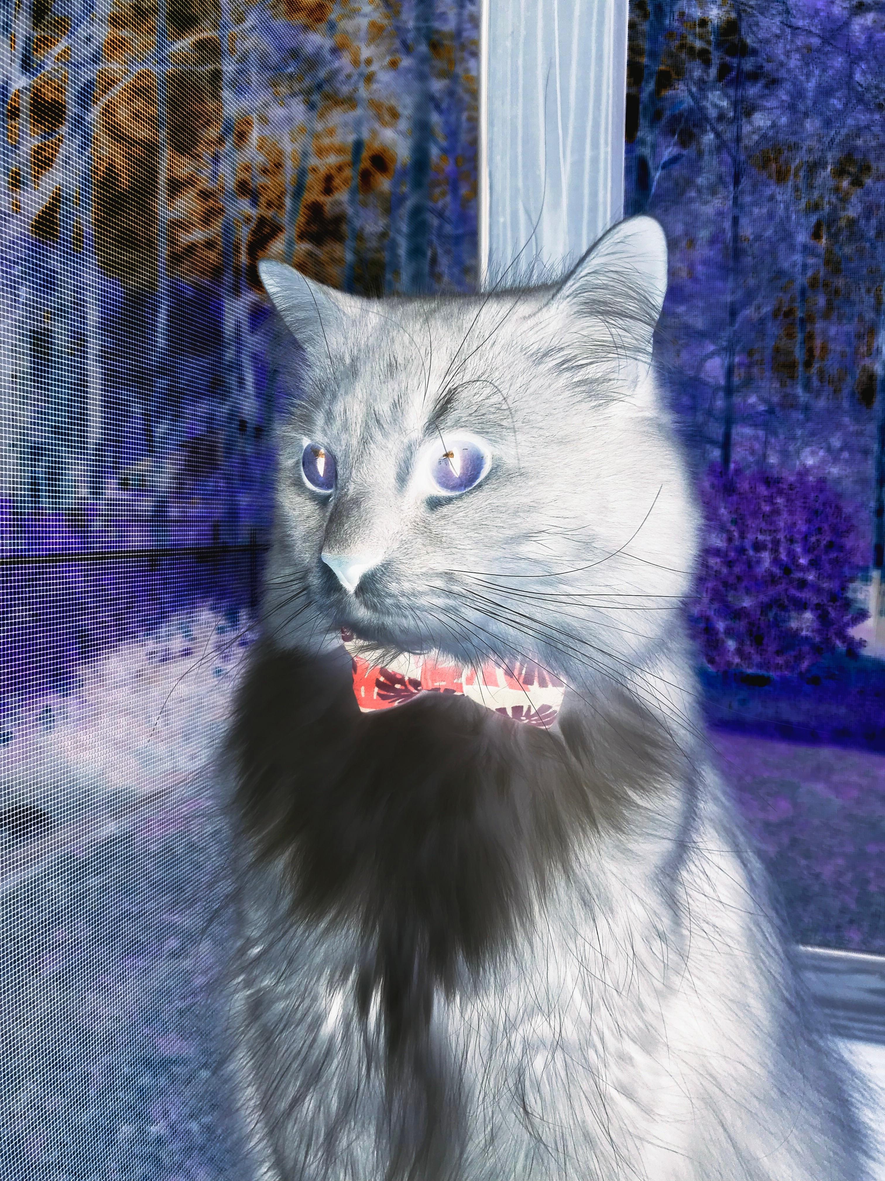 开云体育入口-血拼挪威！国际米兰客场告捷，法比尼奥无愧MVP