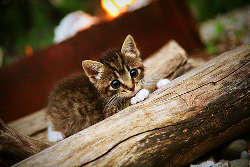 开云体育登录-字母哥的隐形助攻，76人淘汰骑士背后的关键先生