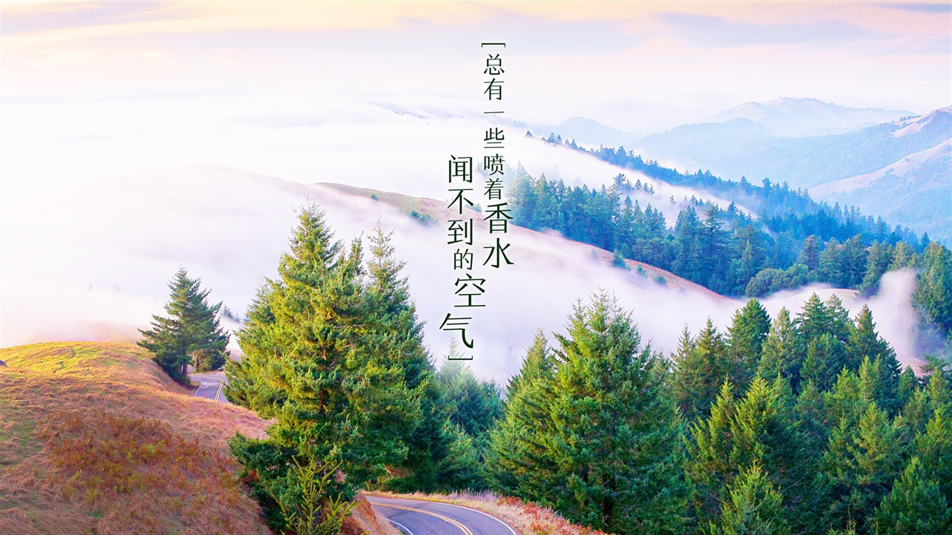 NBA季后赛之夜,新神谱序章,文班亚马主宰比赛走向