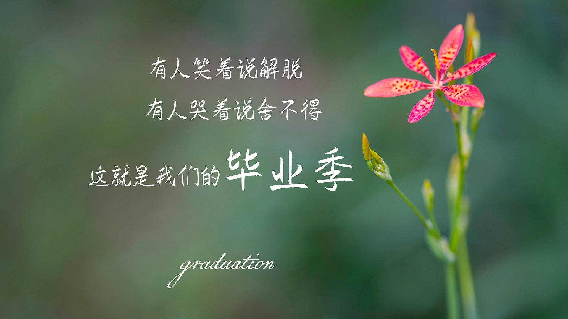 沉默领袖的咆哮,38岁保罗关键战单骑救主,尼克斯险胜北京队背后的奥运宣言