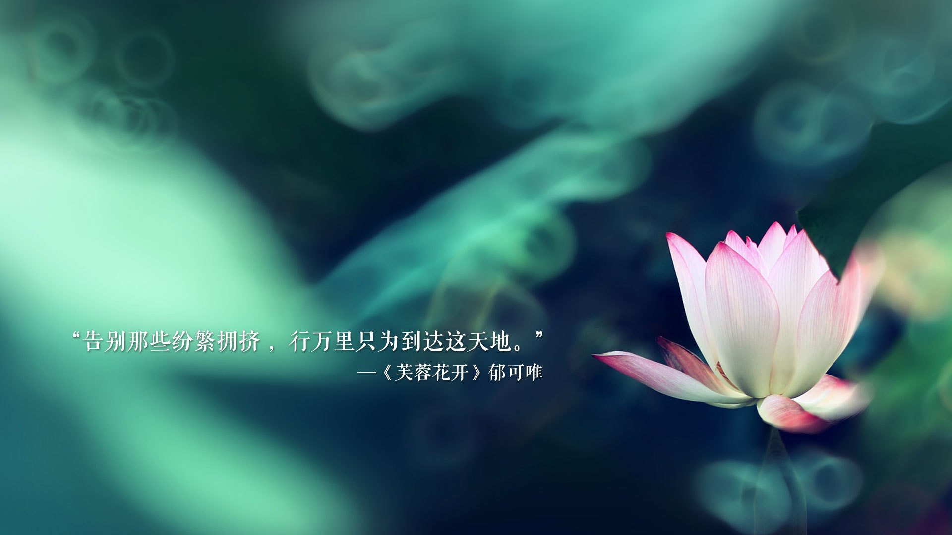 冷与热的碰撞,2026世界杯B组,泰国绝杀瑞典,B费致命一击改写命运