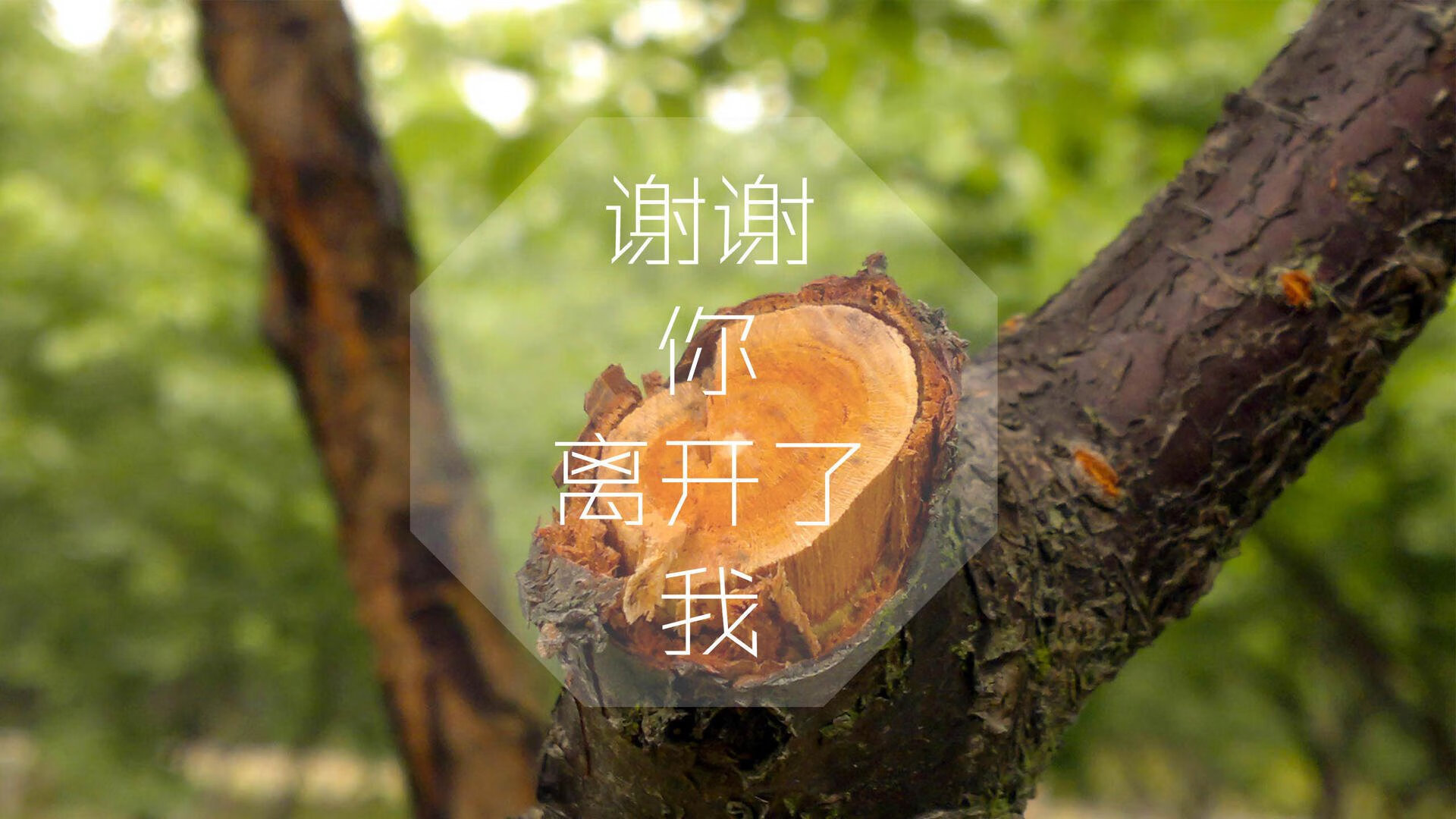 开云体育在线-冰与火之歌，北欧双雄的罗生门，中场指挥家奏响命运序曲