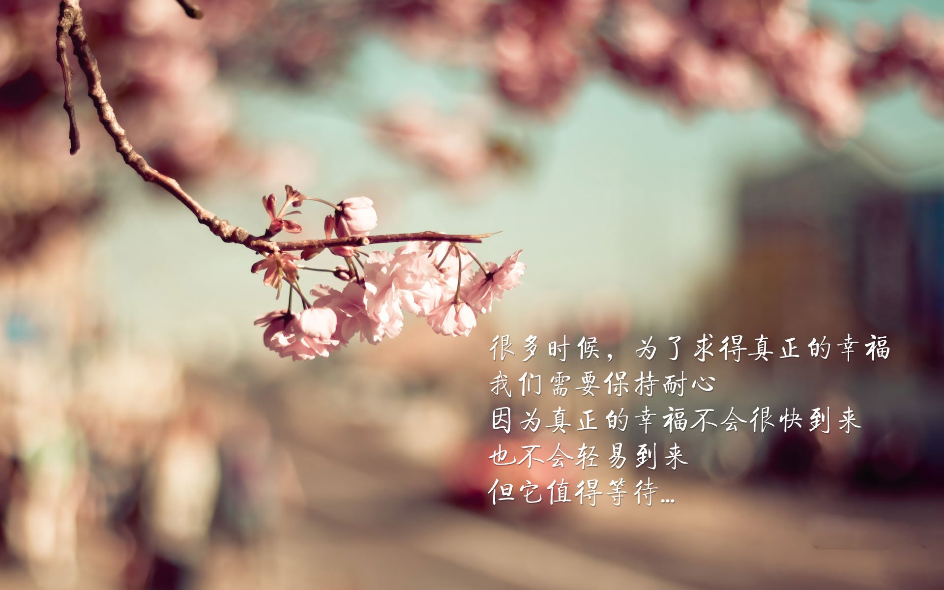 沙漠之狐的致命獠牙，努涅斯94分钟绝杀，宣告伊拉克足球新时代