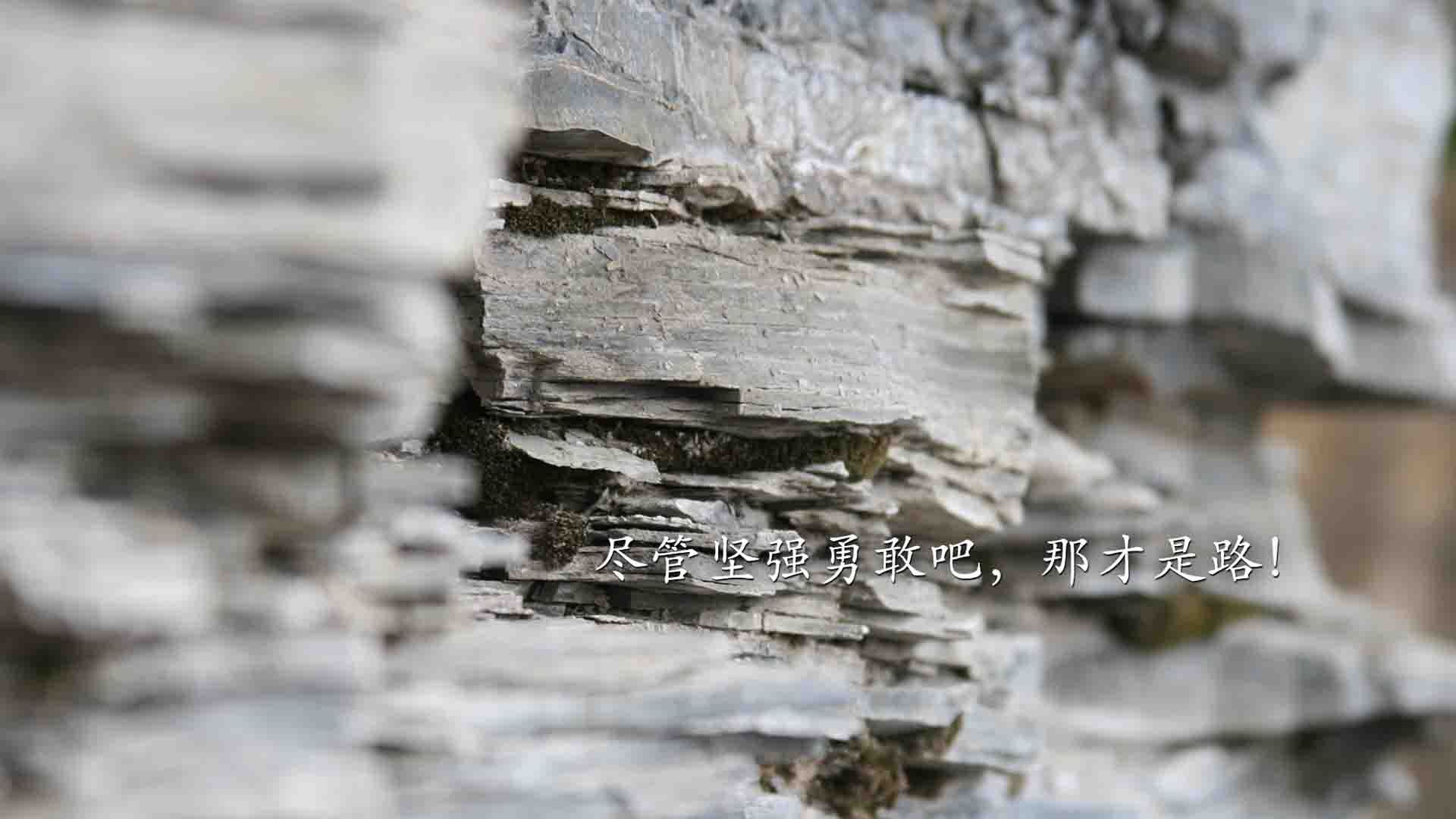 开云体育在线-绝杀之夜，王者降临，2026世界杯H组，保加利亚以铁血进攻刺破墨西哥，京多安化身中场风暴眼