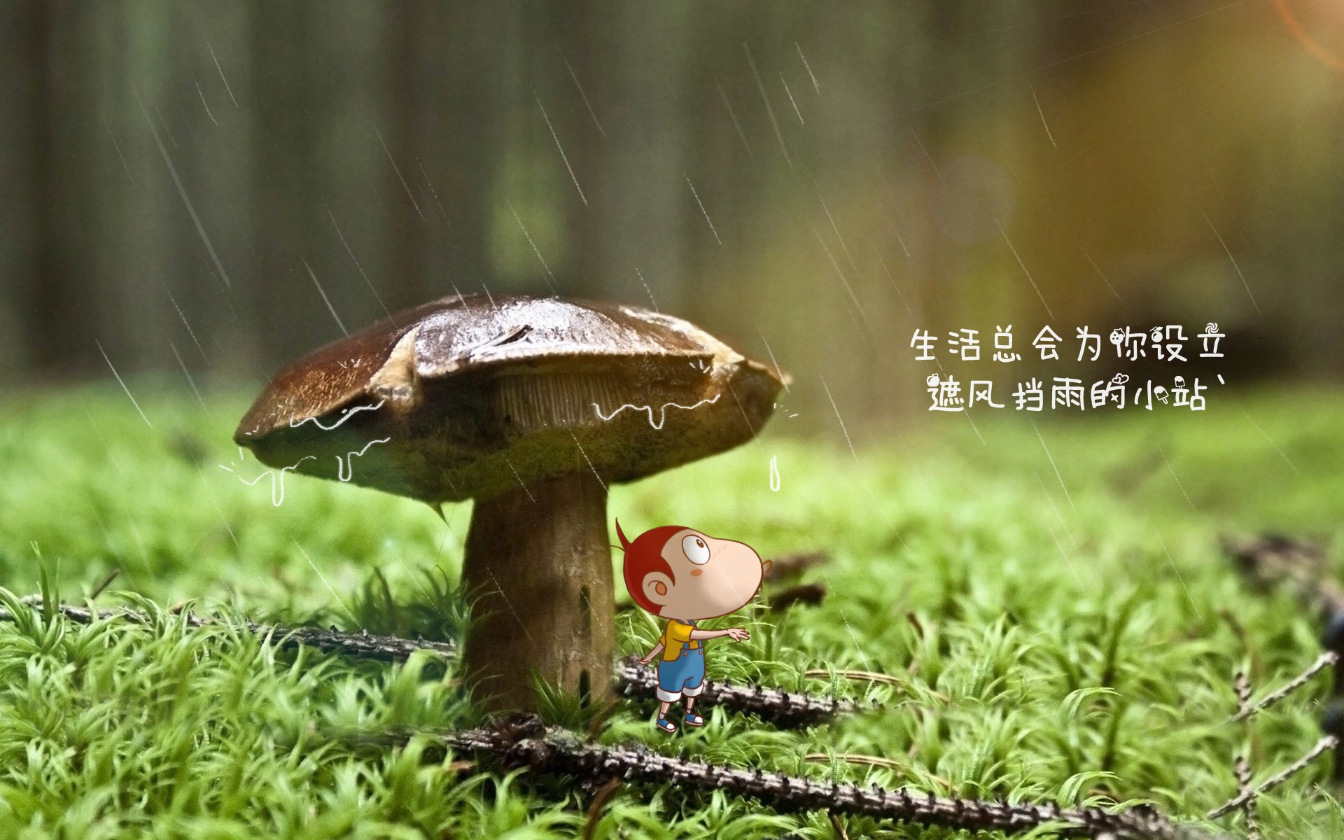 开云体育官网-红魔咆哮，太极虎倒地，贝林厄姆独造绝杀，比利时从地狱到天堂