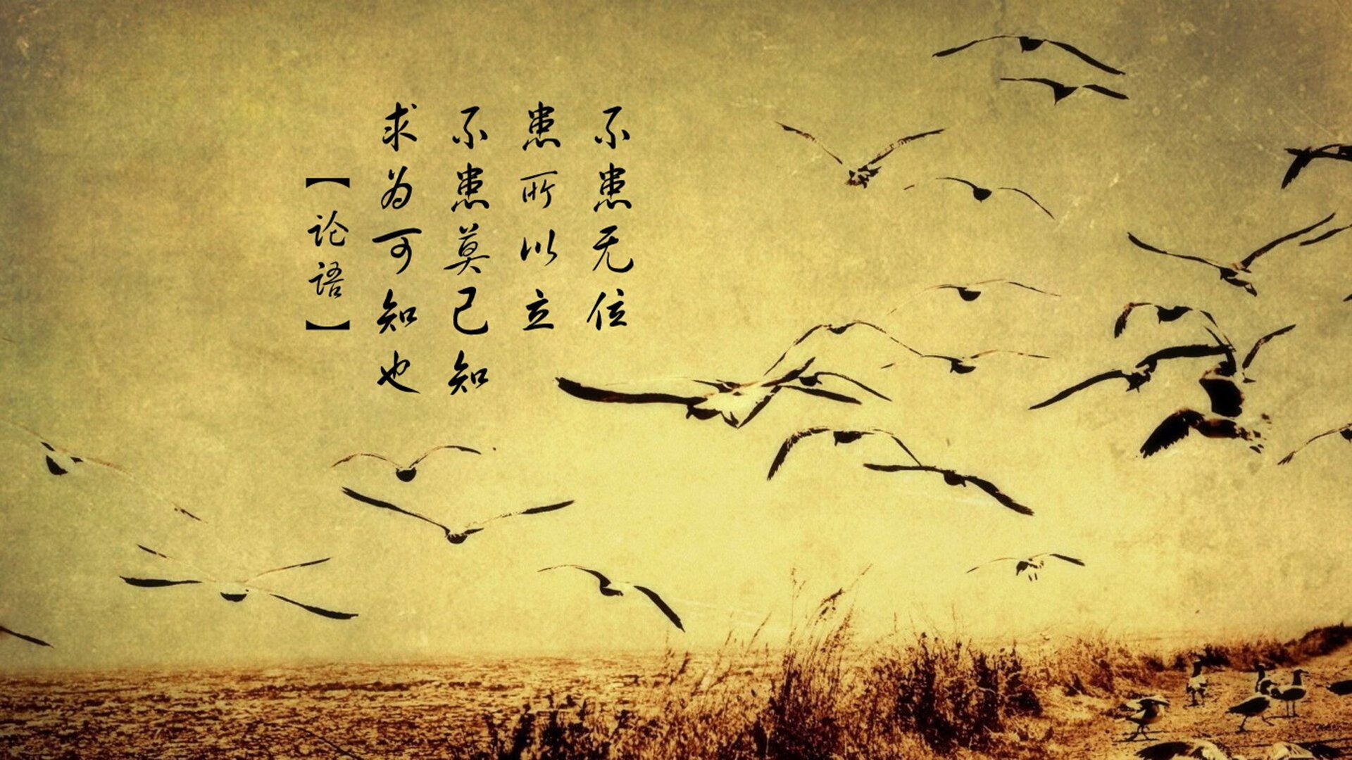 开云体育-沙漠风暴席卷波斯铁骑，迪亚斯一战改写F组命运，阿联酋用唯一的坚持捅破历史天花板