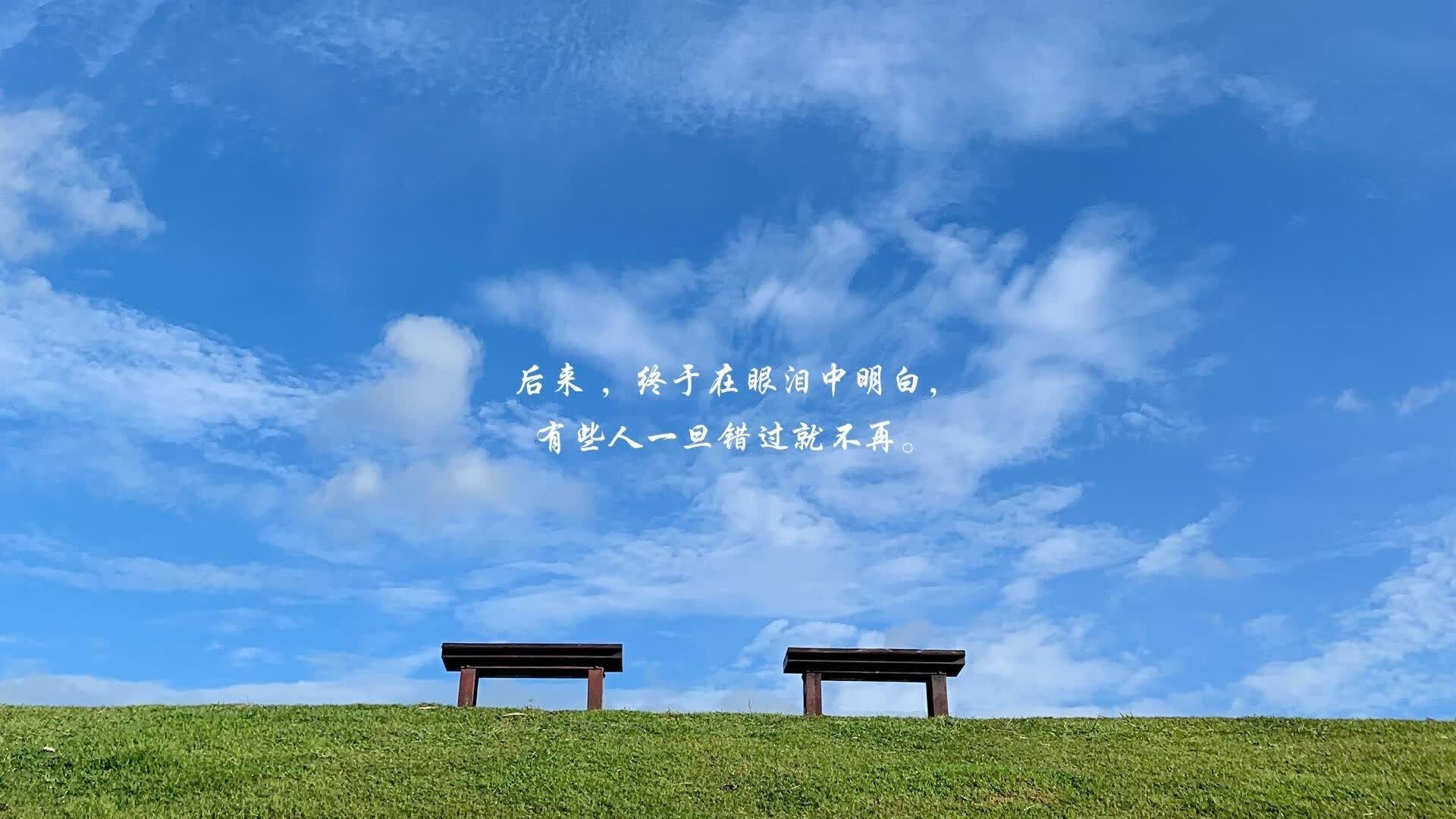 2026世界杯·风暴之眼,当喀尔巴阡的雄鹰撕裂日耳曼战车—坎塞洛的绝望三分钟与罗马尼亚的冷血寓言